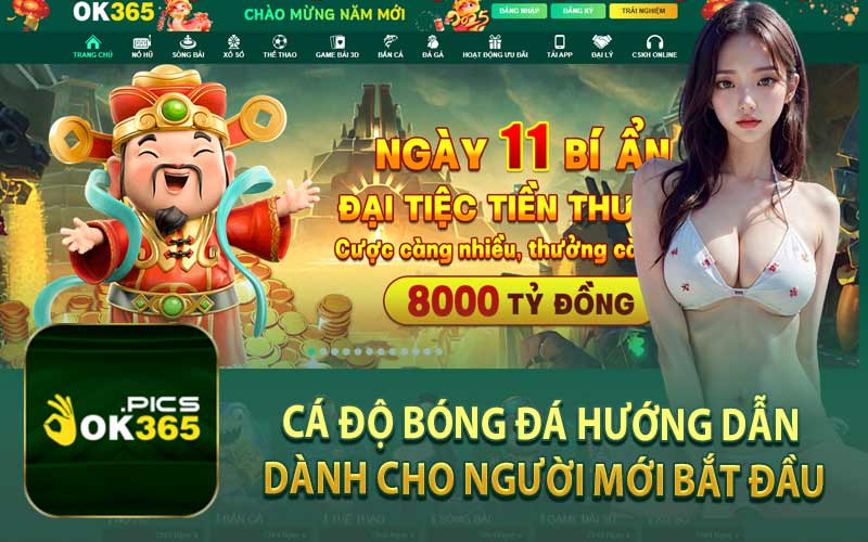 Cá Độ Bóng Đá Hướng Dẫn Dành Cho Người Mới Bắt Đầu
