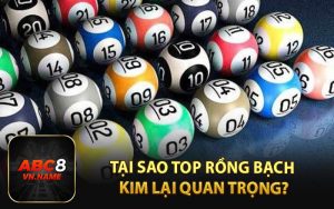 Tại Sao Top Rồng Bạch Kim Lại Quan Trọng?